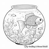 Fish Bowl Coloring Pages  Free & Printable sketch template