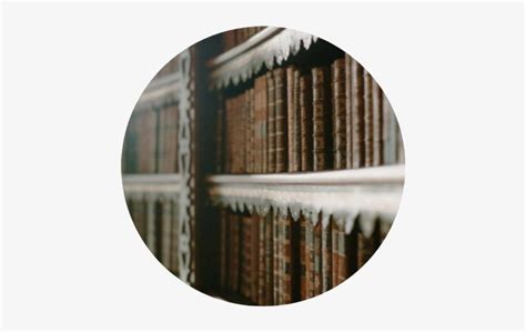 Shelf Book Books Library Brown Aesthetic Aestheticcircl - School Brown Aesthetic Transparent PNG ...