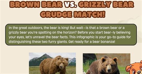 Brown Bear vs. Grizzly Bear: Differences between these Bears • 7ESL