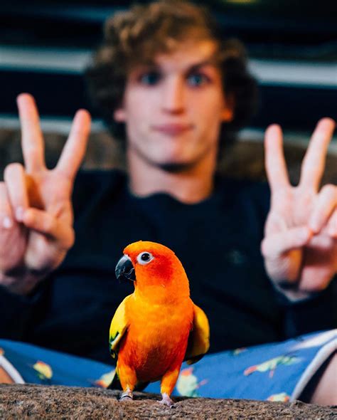 Logan Paul's Parrot Maverick Was Eaten by His Dog: 'This Little Bird Inspired So Much of What I Do'