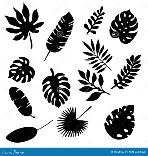 Silhouettes Of Palm Leaf On A White Background. Royalty-Free Illustration | CartoonDealer.com ...