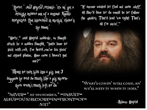 Hagrid Quotes. QuotesGram