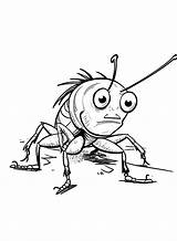 20  Cockroach Coloring Pages Free Printable PDF & Online Coloring sketch template