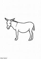 Printable Donkey coloring Page sketch template