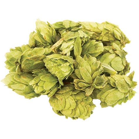 Citra Hops (2 oz.) (Whole Cone) | MoreBeer