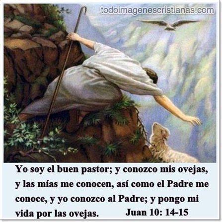 Imágenes cristianas: Yo soy el buen pastor; y conozco mis ovejas - Imágenes Cristianas Gratis