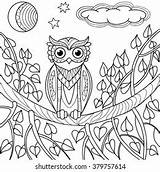 Coloring Night Owl Stock Vector Royalty Free 379757614  Shutterstock sketch template