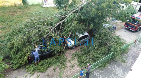 Moti i keq shkakton dëme në Shkodër, pemë të thyera mbi makina (FOTO) - Lapsi.al