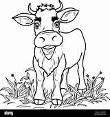 COLORING PAGE Of A Cow calf Cute Funny Character Linear Illustration  sketch template