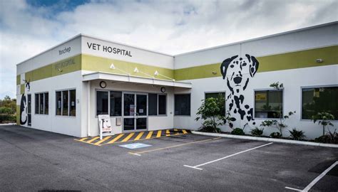 Make an appointment with our veterinary hospital