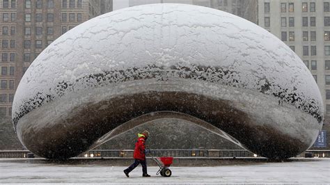 Chicago Snow Storm 2024 - Inez Reggie