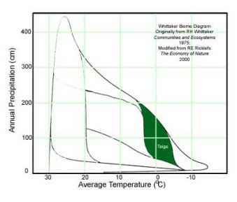 Climate - The wonders of the taiga biomes