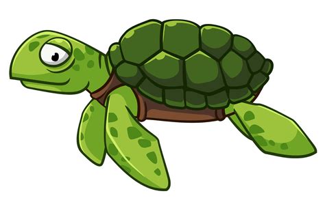Sea Turtle Cartoon Png