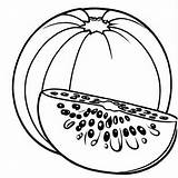 Cantaloupe Outline Black And White Cute coloring Book  Premium AI sketch template