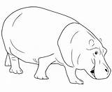 Realistic Hippo Coloring Page  Free Printable Pages sketch template