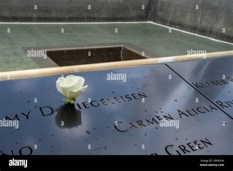 New York, USA - July 21st, 2023: A white rose on one of the September ...