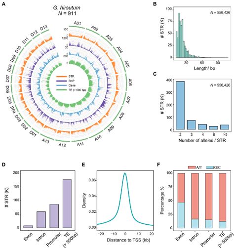 | Polymorphic STR map of 911 cotton accessions. (A) Genomic... | Download Scientific Diagram