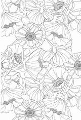 Coloring Pages For Teens  Best Kids sketch template