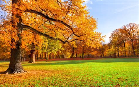 Autumn Scenery - Random Photo (35926721) - Fanpop