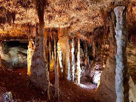 6 Caves to Explore in Arkansas | Little Rock Family | Arkansas vacations, Adventures near me, Cave
