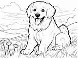 Wonderful Great Pyrenees Coloring Sheet  Page sketch template