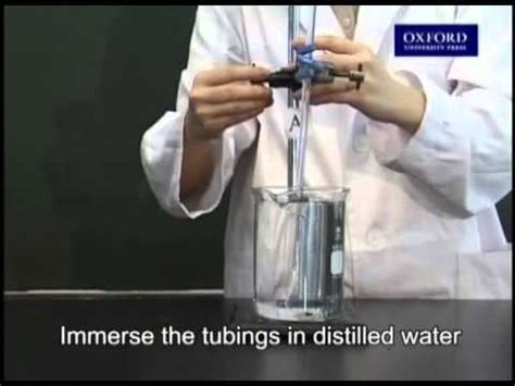 demonstration of osmosis using dialysis tubing - YouTube