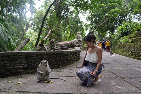 Menikmati Pesona Alam Ubud Monkey Forest Bali