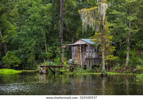 Old House Swamp New Orleans Louisiana Stock Photo (Edit Now) 324100937