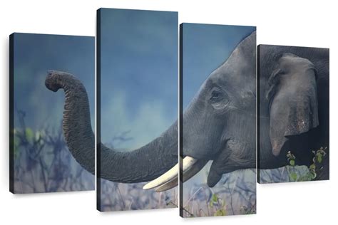 Sacred Indian Elephant Wall Art | Photography