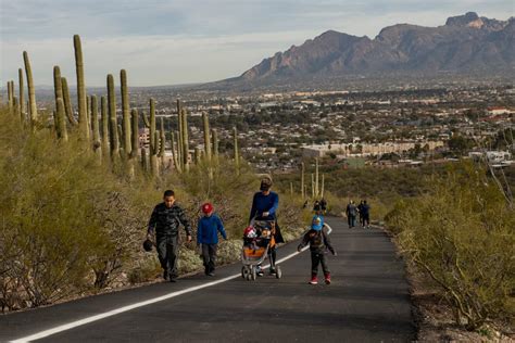 Tumamoc Hill - Attraction Guide | TucsonTopia