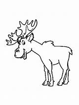 Cartoon Elk coloring Page sketch template