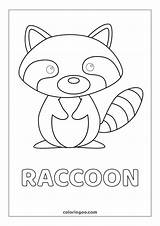 Raccoon Head Coloring Pages sketch template