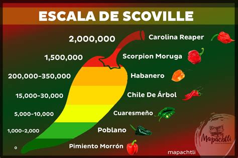 ¿Qué es la Escala Scoville? - Mapachtli Productos Artesanales