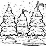 North Pole Coloring Pages  Free & Printable sketch template