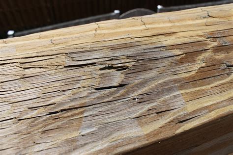 How do I prepare this cracked deck wood surface for staining? (Picture) - Home Improvement Stack ...