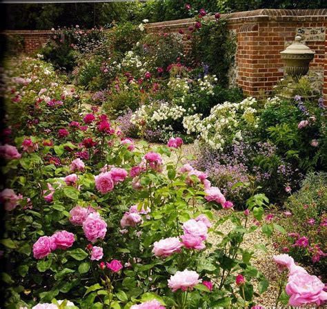 Pin by Linda Ella on Secret Garden | English garden design, Rose garden design, English rose ...