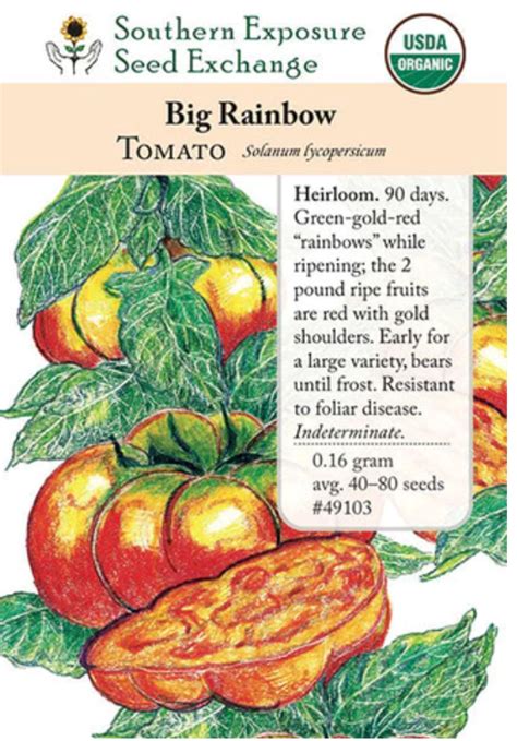 Big Rainbow Tomato Seeds – Plant and People