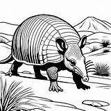 Realistic Walking armadillo coloring page Lulu Pages sketch template