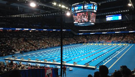 How Big is an Olympic Swimming Pool?