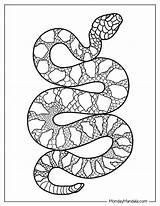 Free Snake Coloring Page Unleash Your Inner Artist And Learn About Snakes sketch template