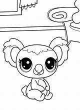 Cartoon Pets Koala coloring Page  Download Print Or Color Online For Free sketch template