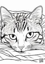Realistic Coloring Pages Free Printable  Color This Life sketch template