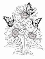 67 Beautiful Butterfly Coloring Pages For Kids And Adults  Our Mindful sketch template