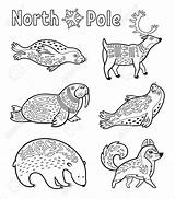 Arctic Animals Coloring Pages  ColoringBay sketch template