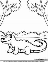 20 Crocodile Coloring Pages Download Free Printable PDF sketch template