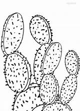 Printable Cactus Coloring Pages For Kids  Cool2bKids sketch template