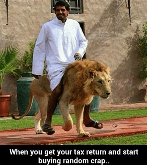 37 Tax Memes To Enjoy Before The Government Non-Consensually Fondles ...