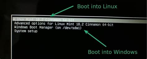 Dual Boot Linux Mint And Windows 10 or 11 [Beginner's Guide]