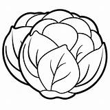 Brussels sprouts Vegetable Outline coloring Book Page Line Art Drawing  sketch template