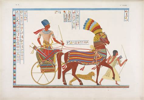 Egyptian War Chariot (Illustration) - World History Encyclopedia